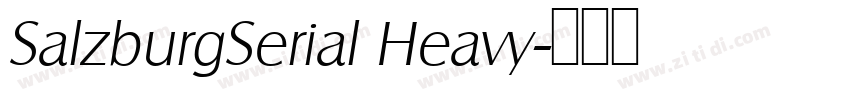SalzburgSerial Heavy字体转换